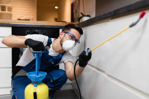Best Emergency Pest Control  in Southside Place, TX