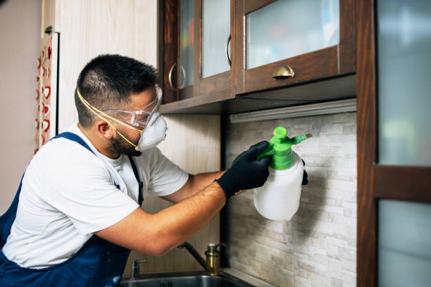 Best Pest Removal Services  in Southside Place, TX