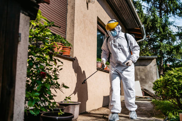 Best Best Pest Control Companies  in Southside Place, TX