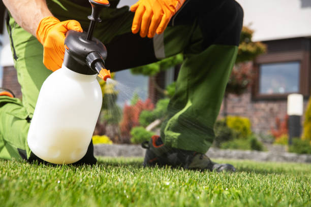 Best Affordable Pest Control Services  in Southside Place, TX