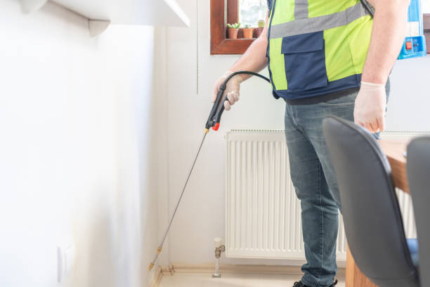 Best Wasp Removal Services  in Southside Place, TX