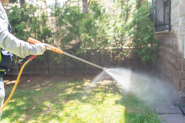 Best Mosquito Control Services  in Southside Place, TX